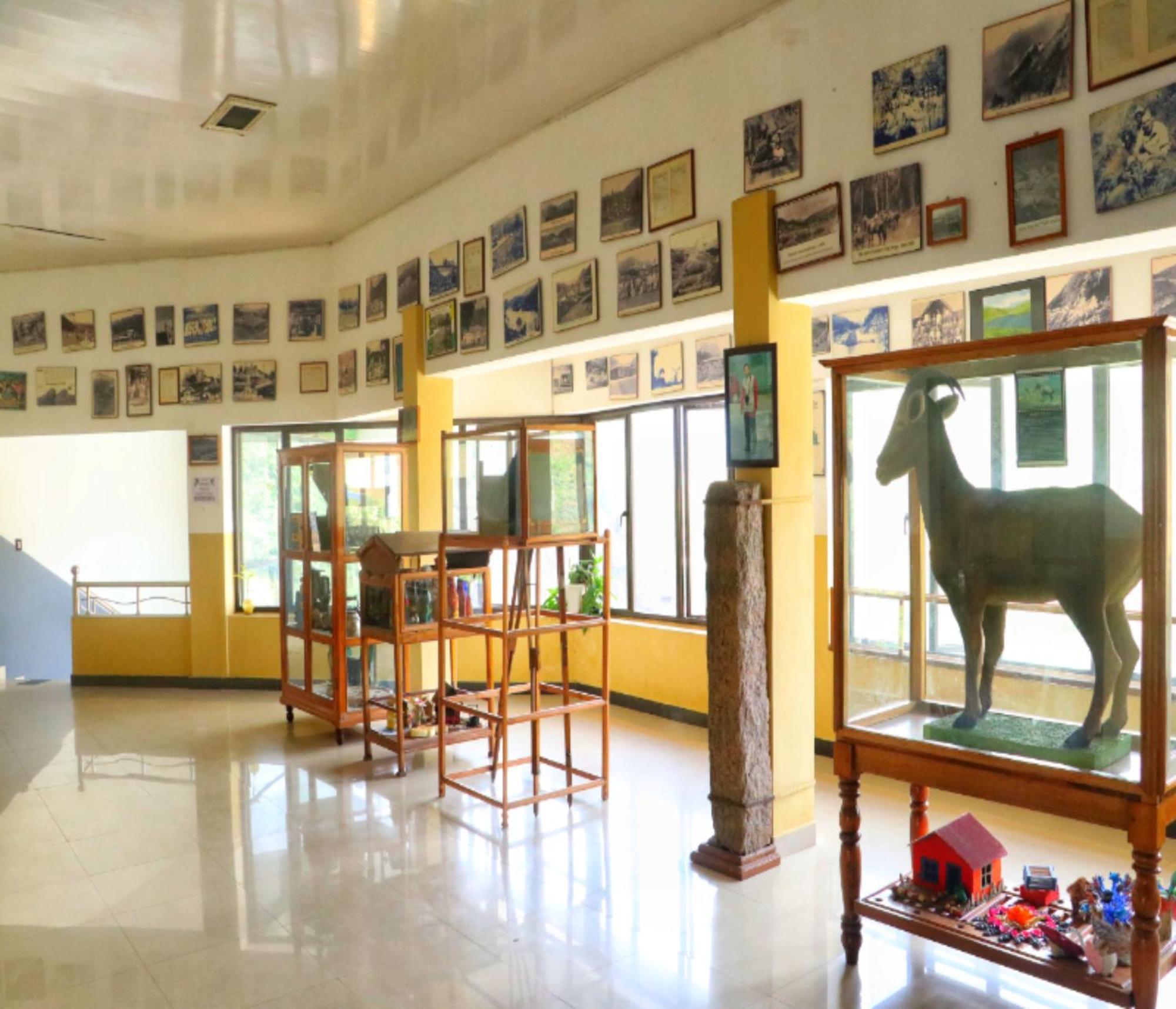 Hotel Ac Mist Munnar Exterior foto